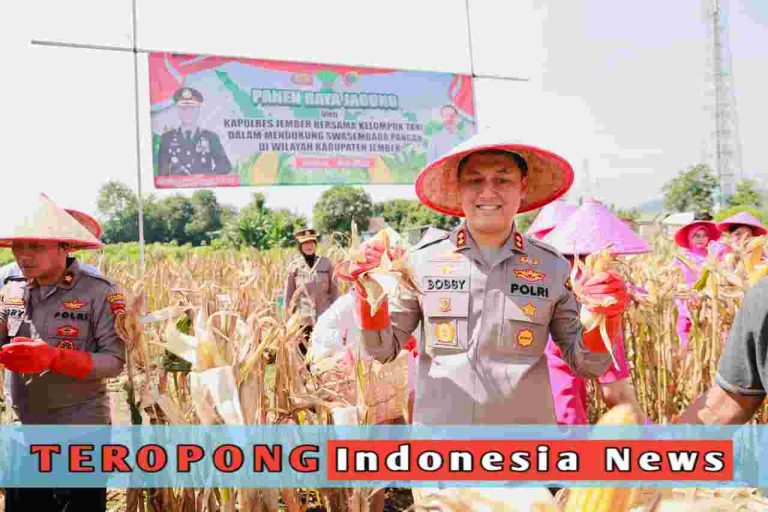 20250525_010737_copy_1280x853