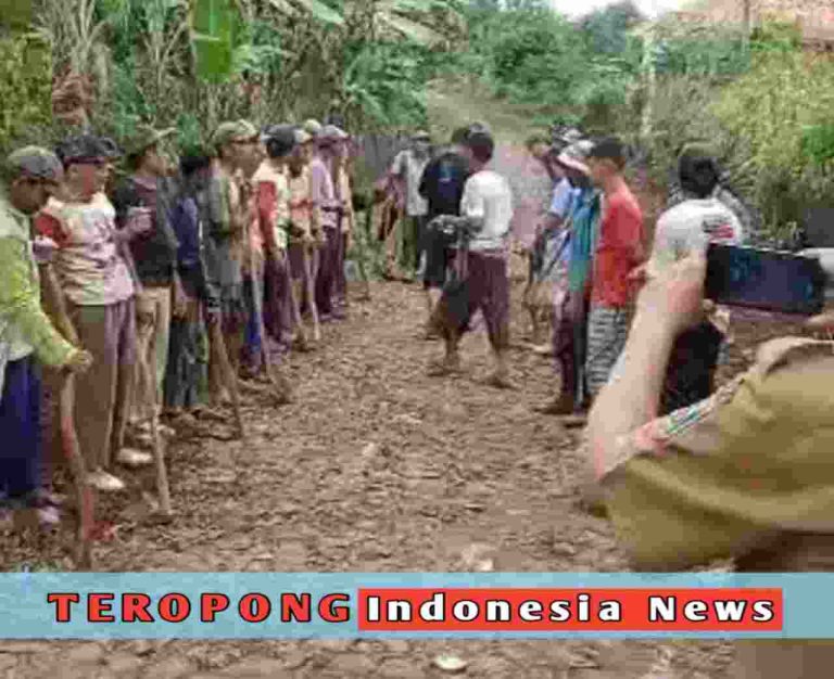 20250526_124353_copy_1280x1044