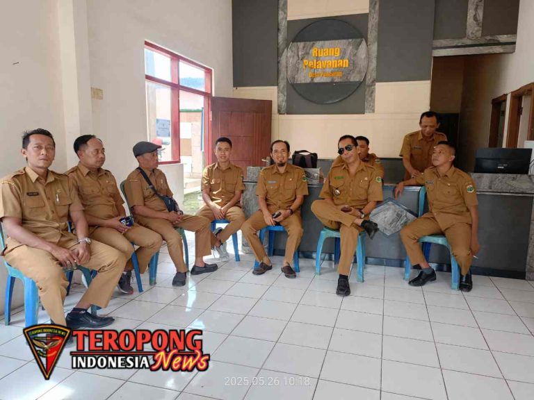 20250527_061324_copy_1280x960