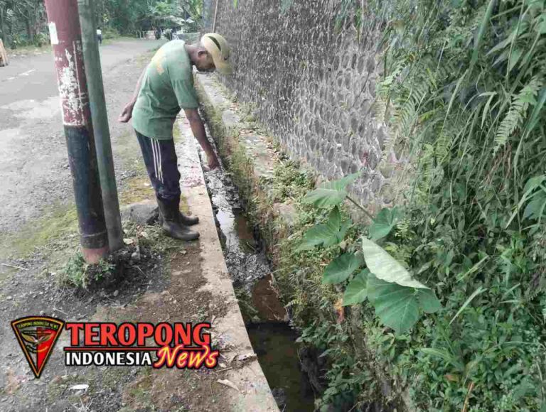 20250528_153135_copy_1280x966