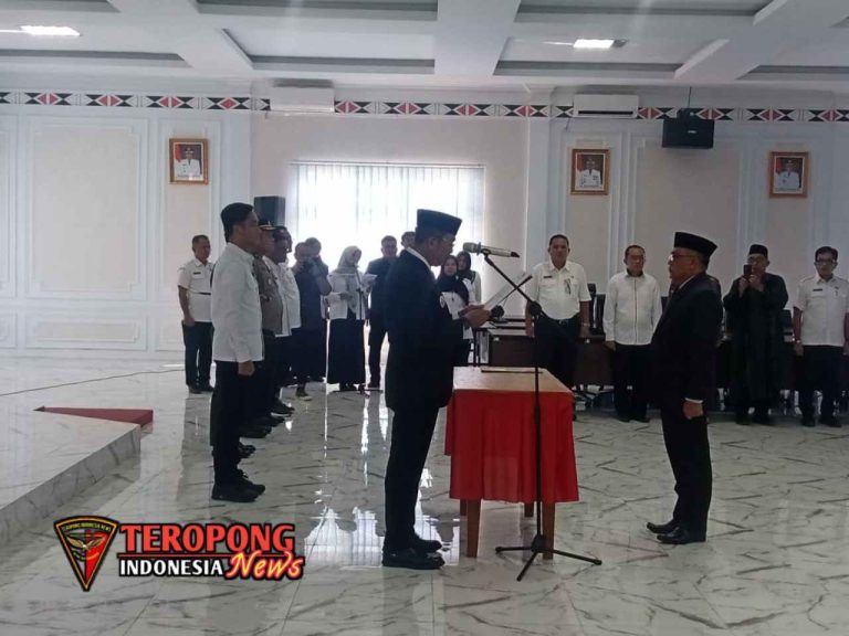 20250528_194536_copy_1280x960