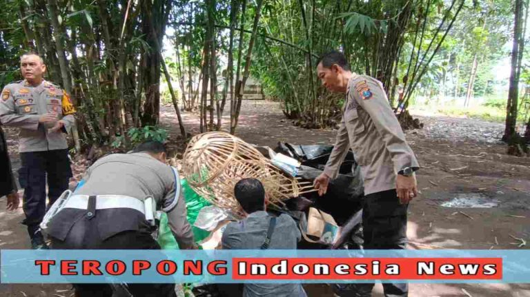 20250528_201452_copy_1280x719