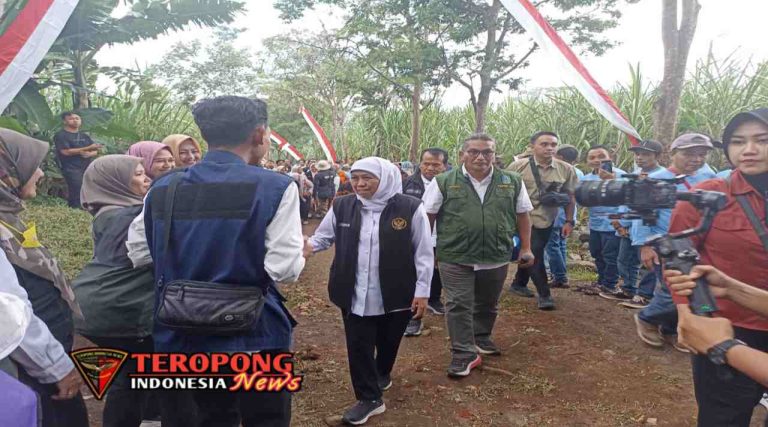 IMG_20250526_095707_copy_1280x712