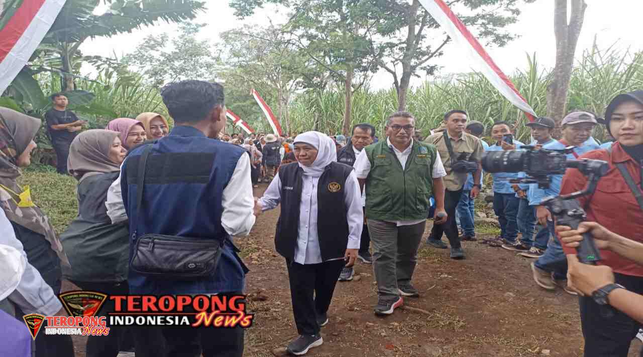 IMG_20250526_095707_copy_1280x712