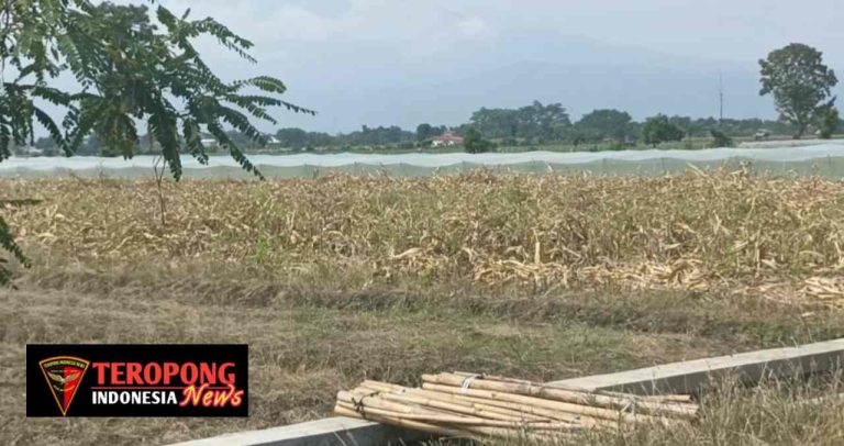 20250602_160657_copy_1280x676