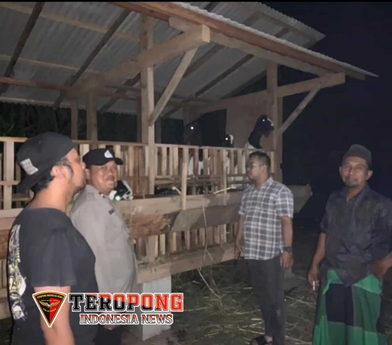 20250604_083116_copy_1280x1127