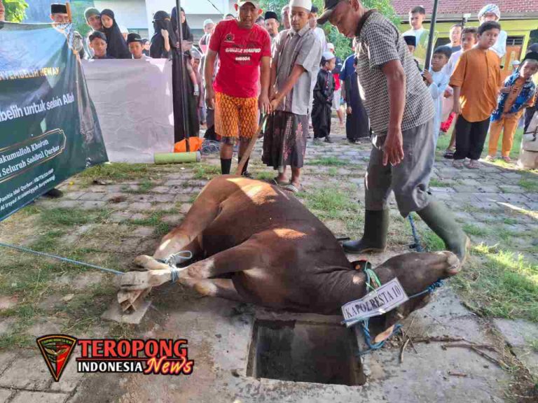 20250607_135321_copy_1280x960