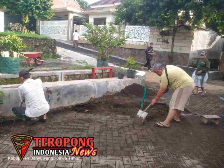 20250610_062439_copy_1280x960_1