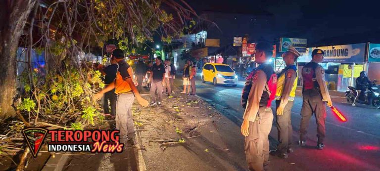 20250610_072757_copy_1280x576