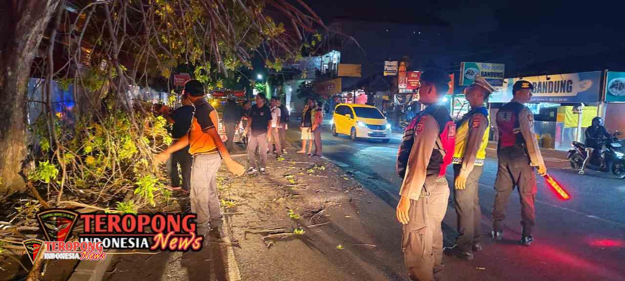 20250610_072757_copy_1280x576