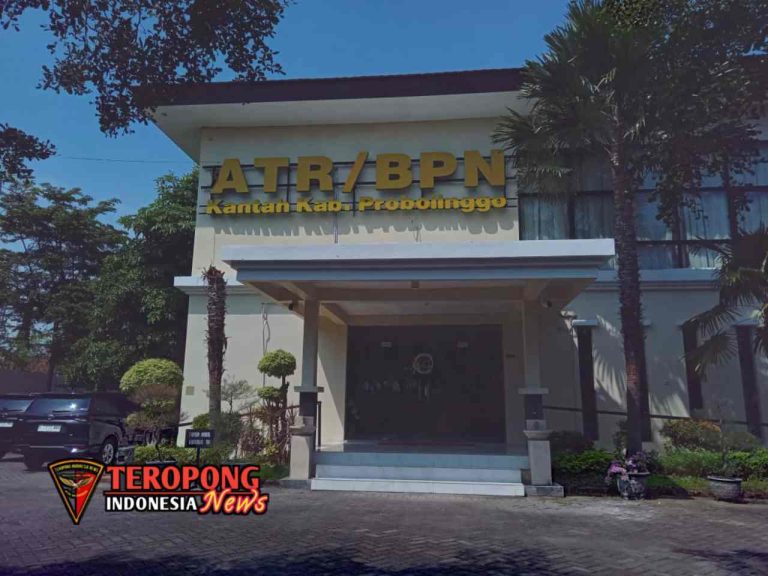 20250610_231043_copy_1280x960