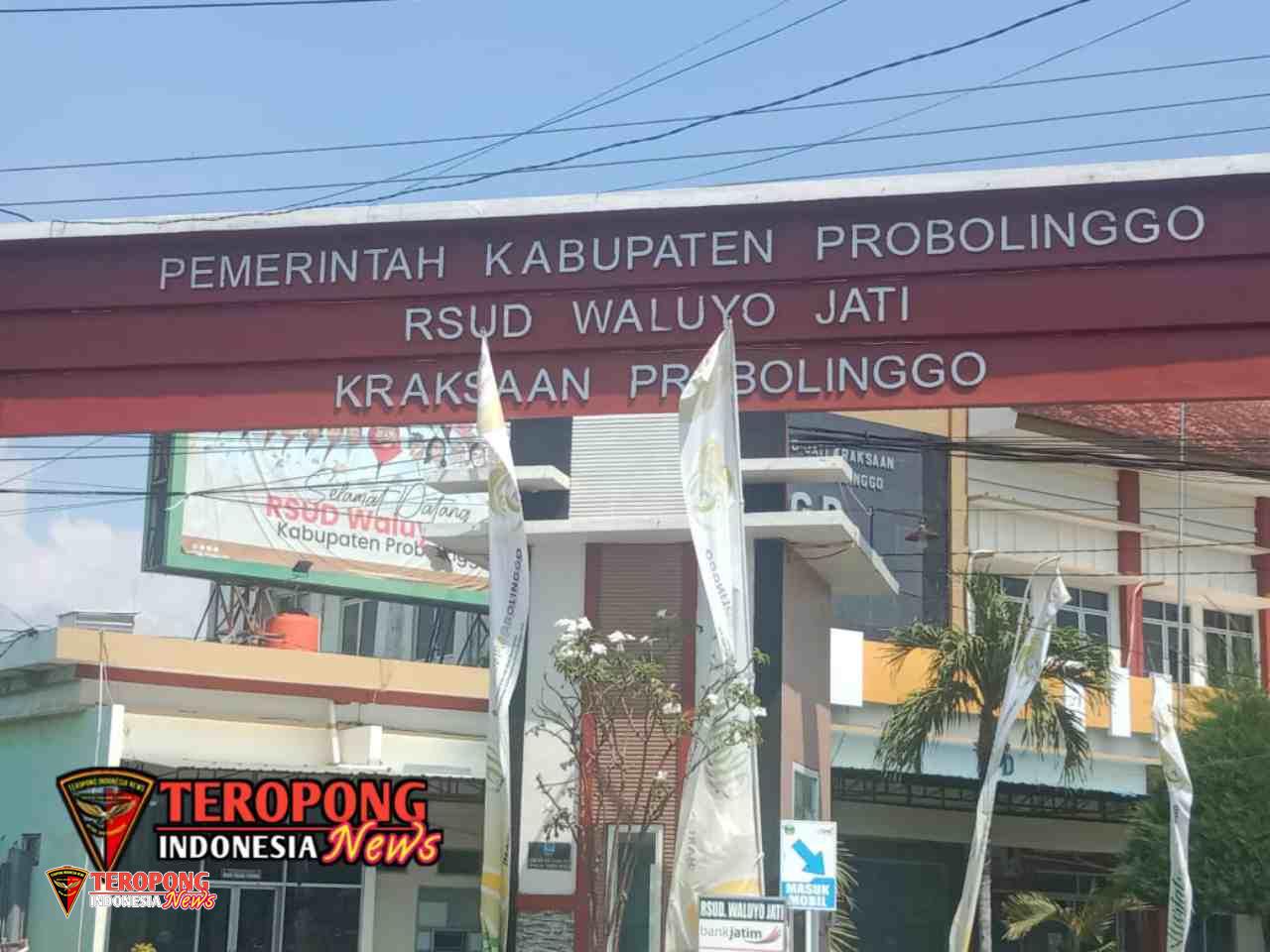 20250610_231256_copy_1280x960