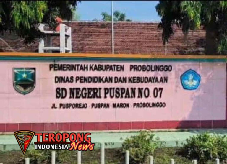 20250611_191052_copy_1280x927