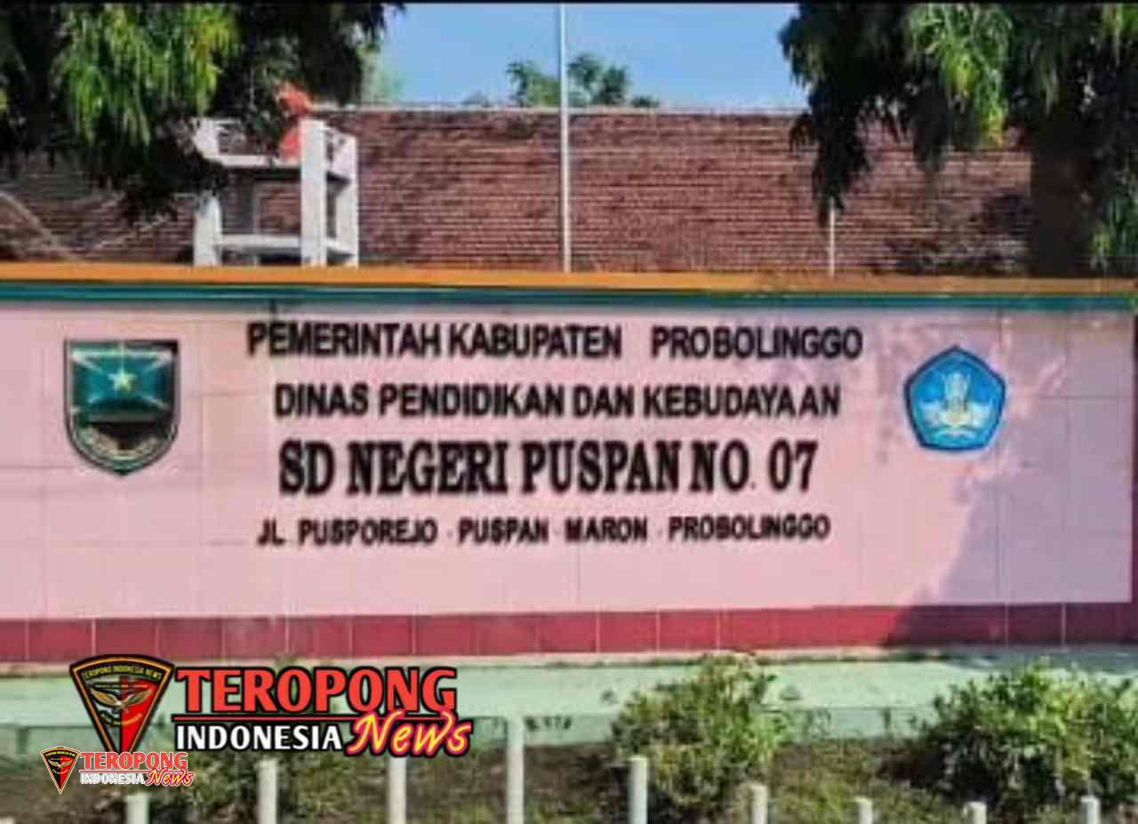 20250611_191052_copy_1280x927