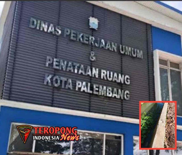 20250617_014446_copy_1280x1093