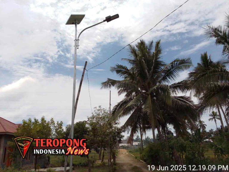 20250619_205528_copy_1280x960