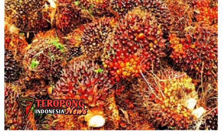 20250622_155552_copy_1280x764