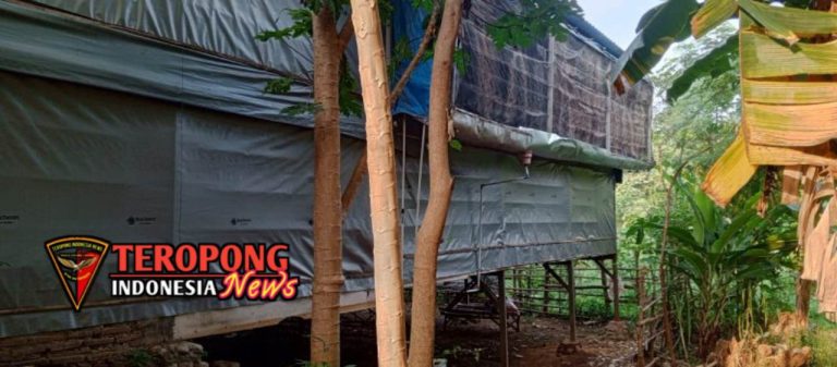 20250625_214415_copy_1280x561