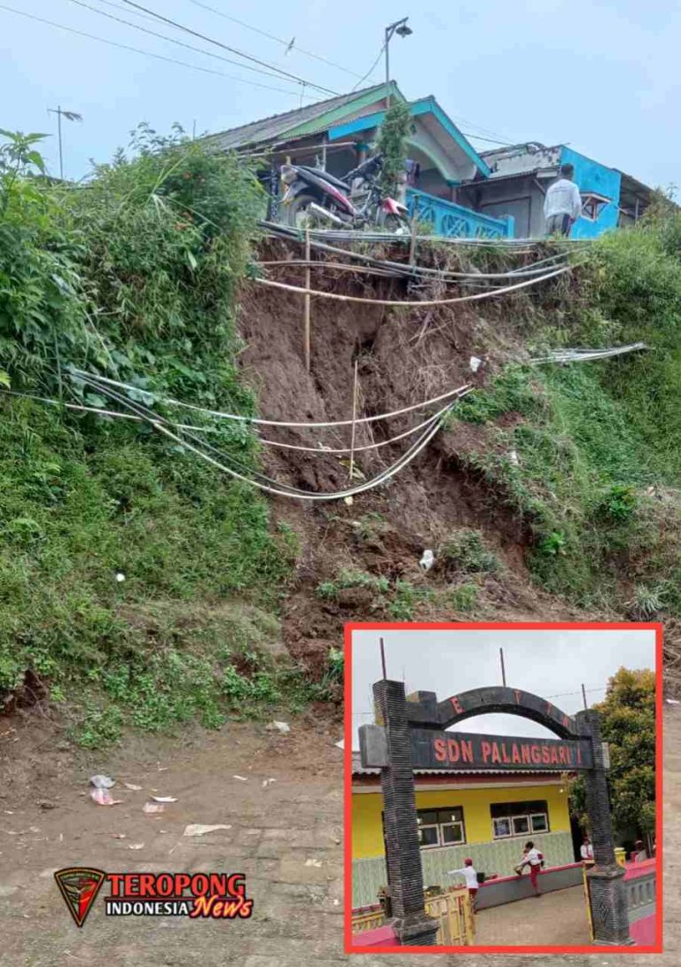 20250717_010243_copy_901x1280