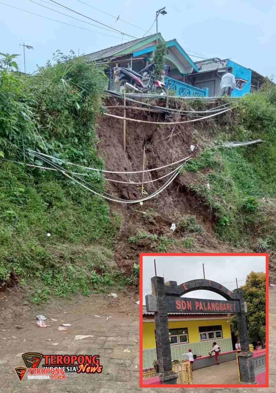 20250717_010243_copy_901x1280