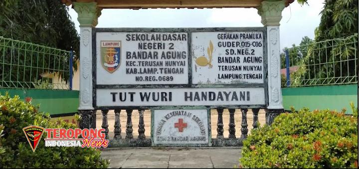 IMG-20250824-WA0243(1)