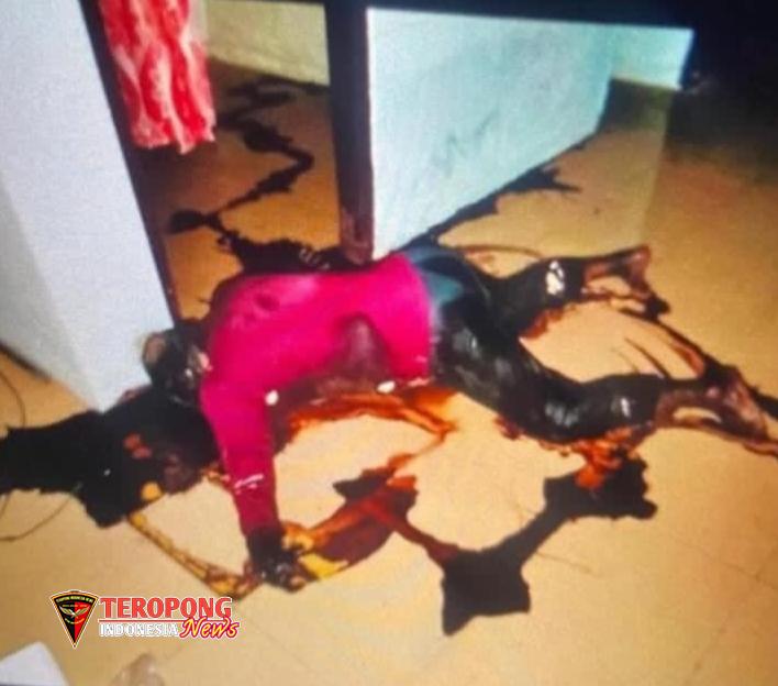IMG_20250812_231228
