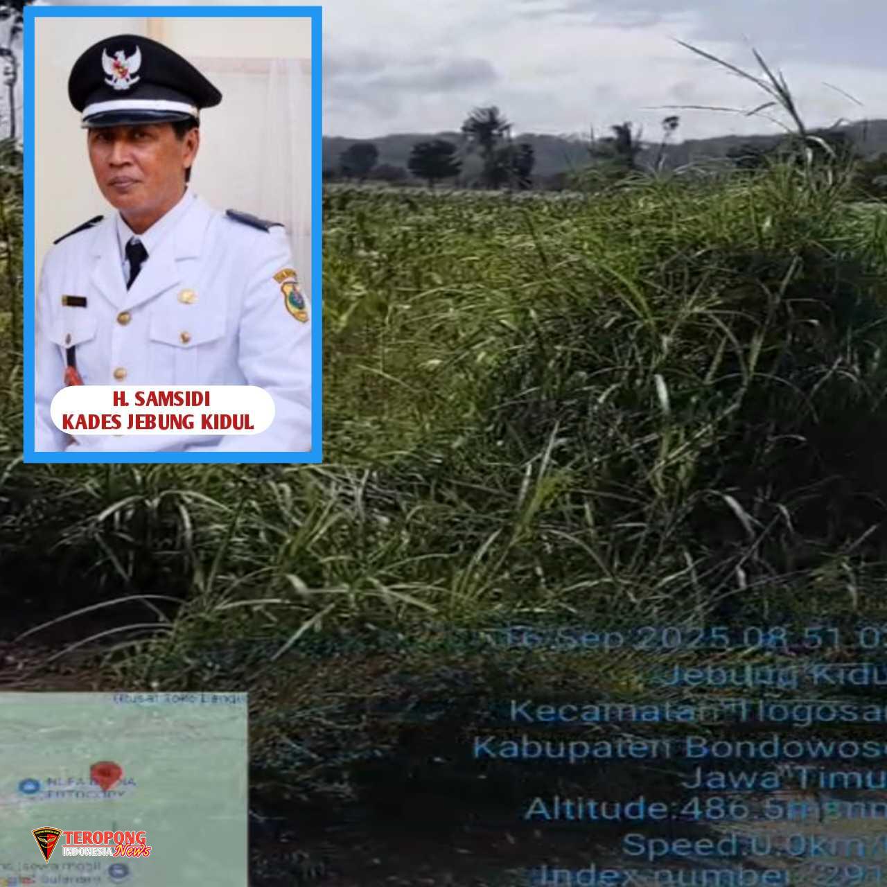 20250927_081606_copy_1280x1280