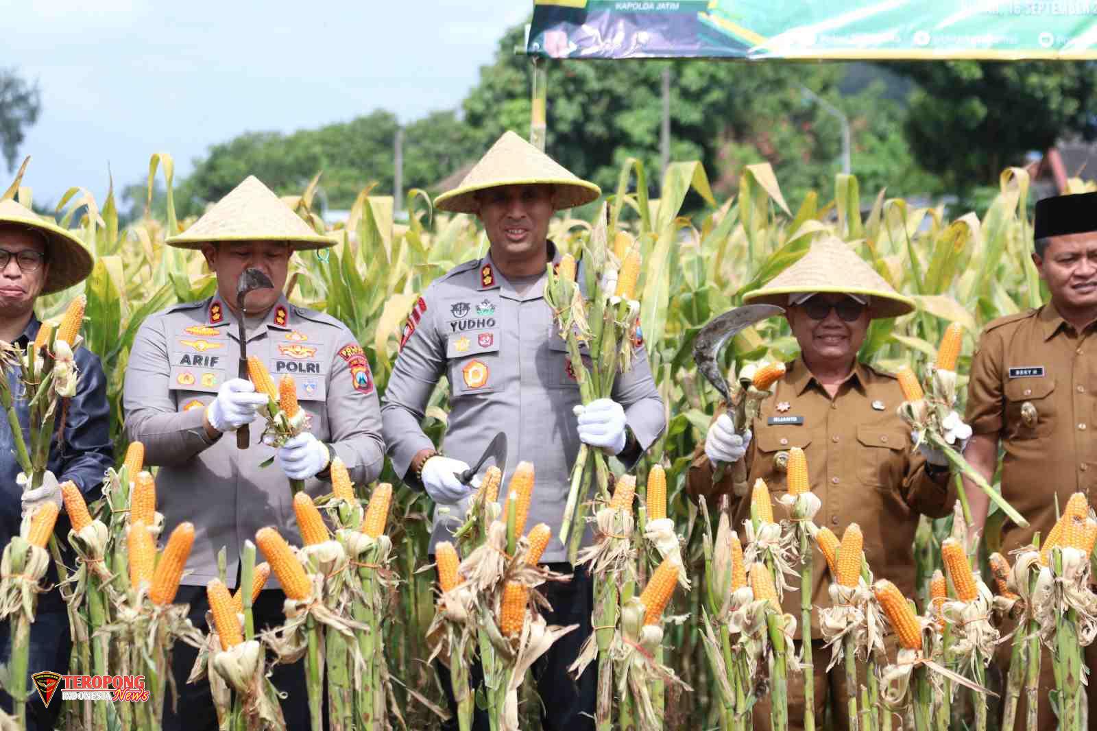 IMG-20250917-WA0119_copy_1600x1066