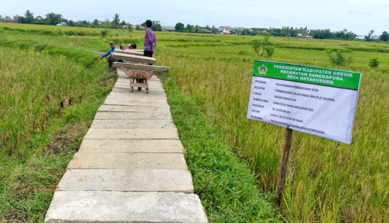 IMG_20251023_141655_179