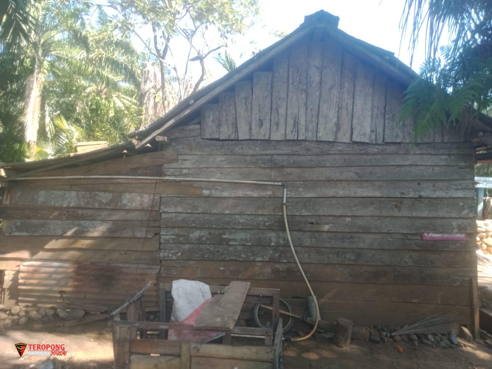 IMG-20251101-WA0010