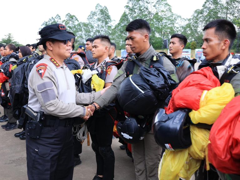 IMG-20251127-WA0117(1)