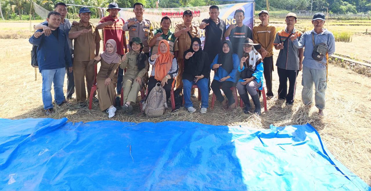 IMG-20251217-WA0167