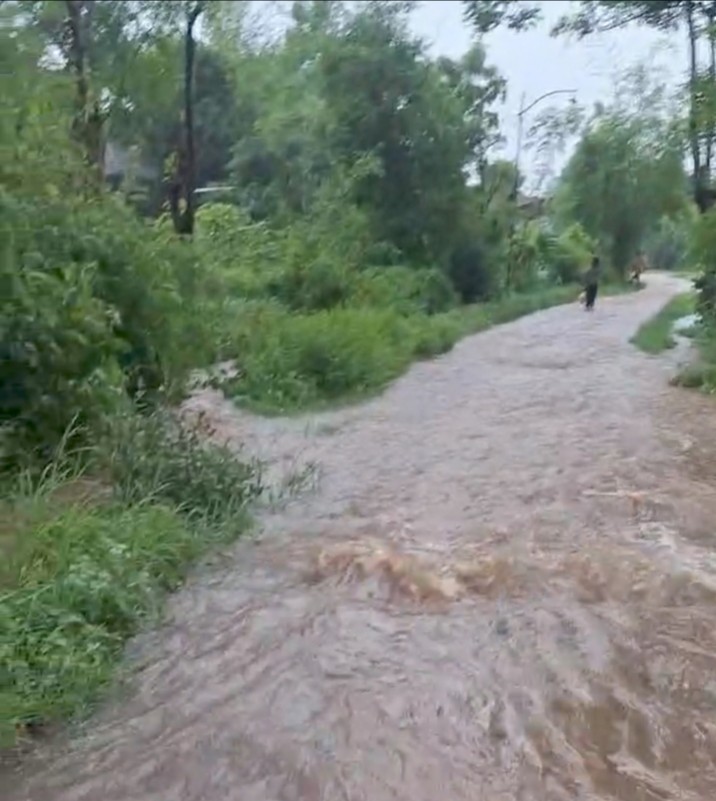 IMG_20251209_204812_506