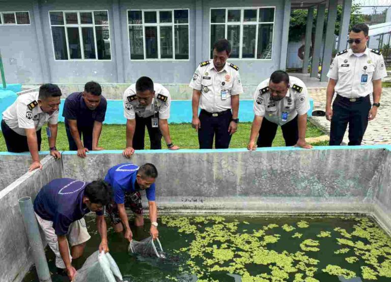 IMG_20260114_003632_522_copy_1290x931