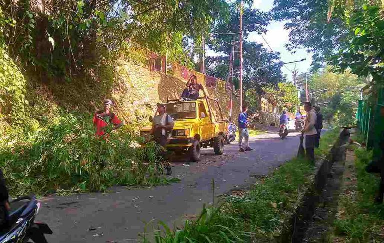 IMG_20260130_093626_copy_1032x655