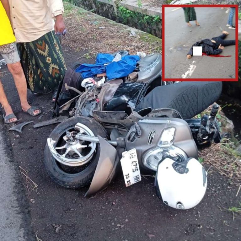 20260219_032231_copy_826x826