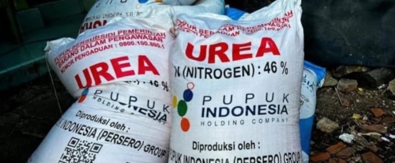 IMG-20260207-WA0302_copy_799x331