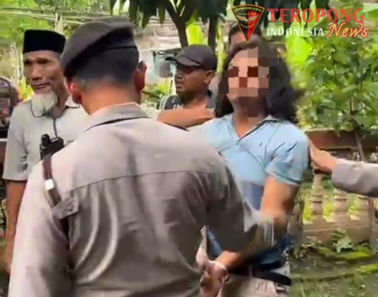 Photo_1771913051421_copy_951x748