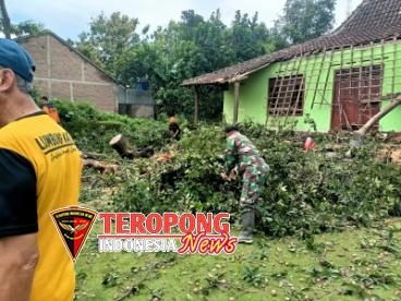 IMG-20260227-WA0568(1)_copy_368x276