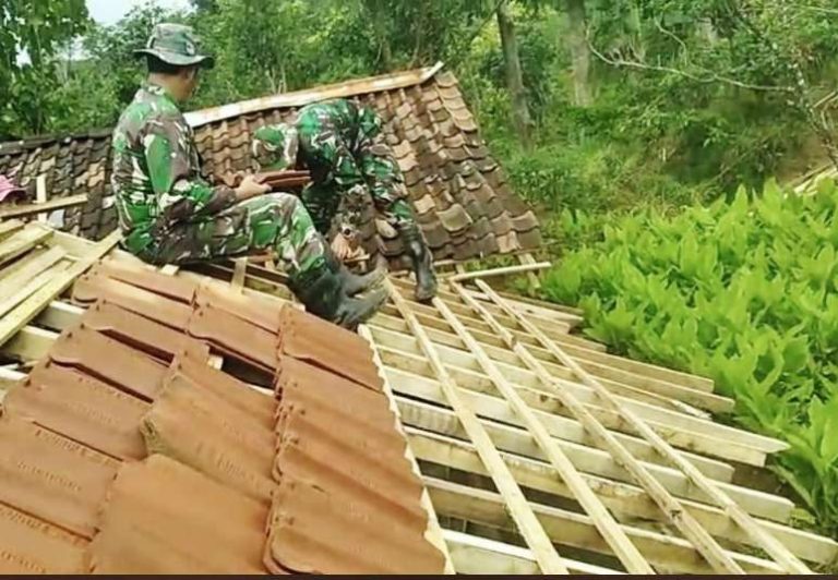 IMG-20260301-WA0185_copy_773x535