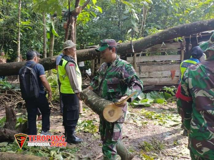 IMG-20260305-WA0396_copy_696x522