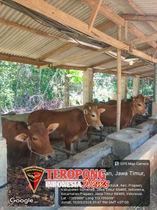 IMG-20260315-WA0098_copy_313x418