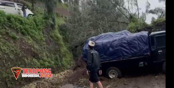 IMG_20260303_035637_copy_720x364