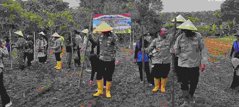 IMG_20260307_222515_copy_1600x720