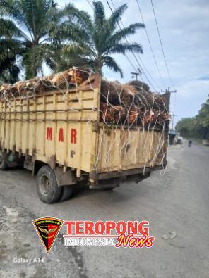 IMG-20260402-WA0382_copy_296x395