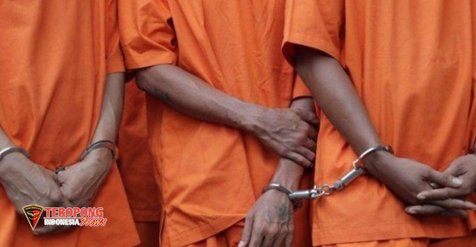 IMG-20260406-WA0247_copy_974x506