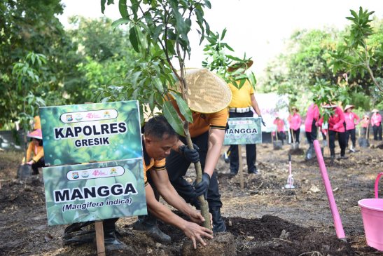 IMG-20260425-WA0137_copy_547x365