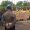 IMG-20260521-WA0002