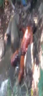 IMG_20260531_201408_copy_140x310