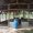 IMG-20260607-WA0053